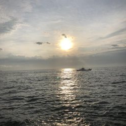 強風にも負けず