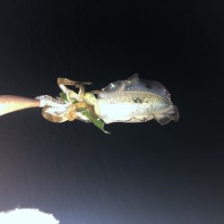 台風前に友達と行ってきました