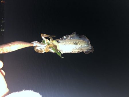 台風前に友達と行ってきました