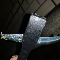 アーバンサイドアジング