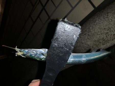 アーバンサイドアジング