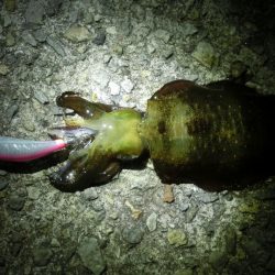 ポイント移動で何とか1杯