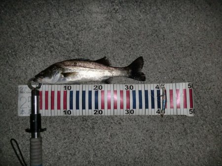 少ないチャンス