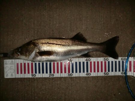 秋の深まりと共に