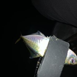 アーバンサイドアジング