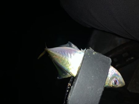 アーバンサイドアジング