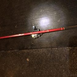 ドラゴン釣れました!