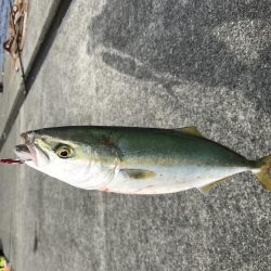 ポーアイ沖堤防にて