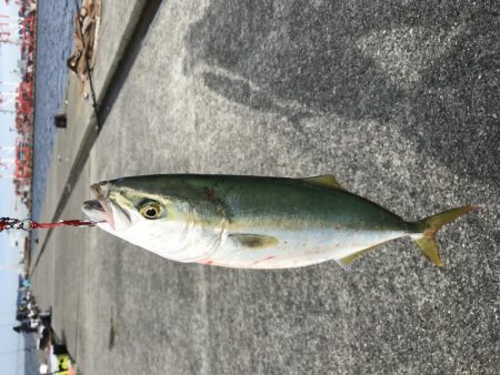 ポーアイ沖堤防にて