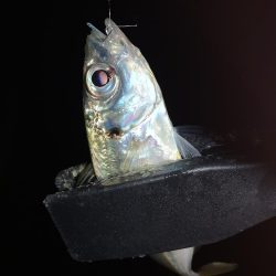 アーバンサイドアジング