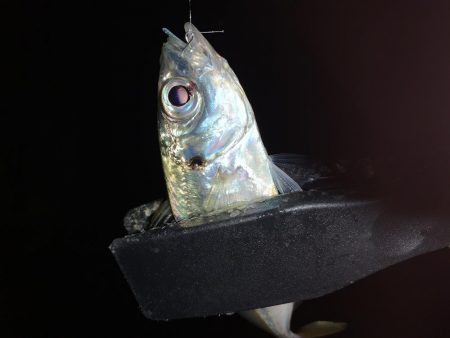 アーバンサイドアジング