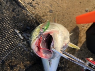 風強いし雨降るし・・・