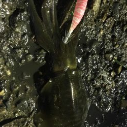 小雨の中４００とどかず