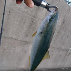 早朝短時間勝負！！