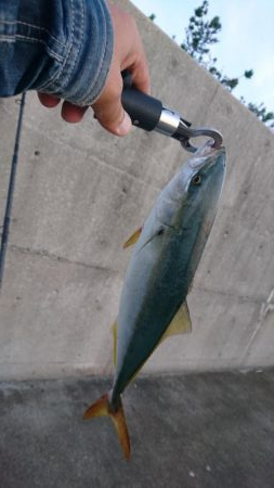 早朝短時間勝負！！