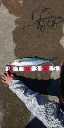 最近の赤石埠頭について