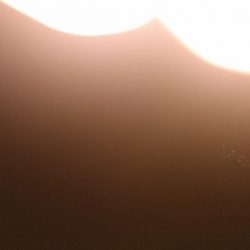 シーバス釣れない