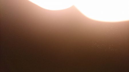 シーバス釣れない