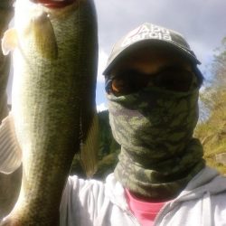 いまいちパッとせず…