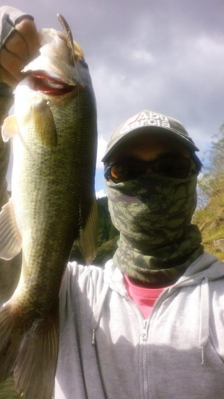 いまいちパッとせず…