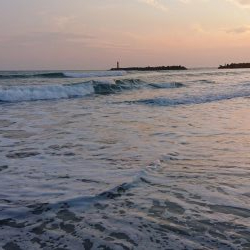 初めてのサーフ