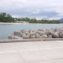 職場の仲間と旅行