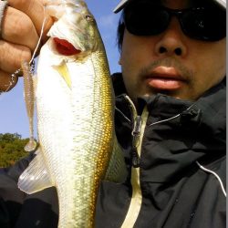 ルアーサイズが大事です