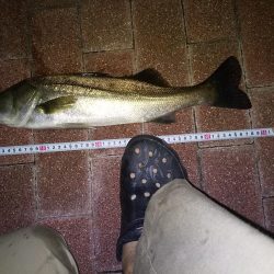 壁際でフッコサイズ