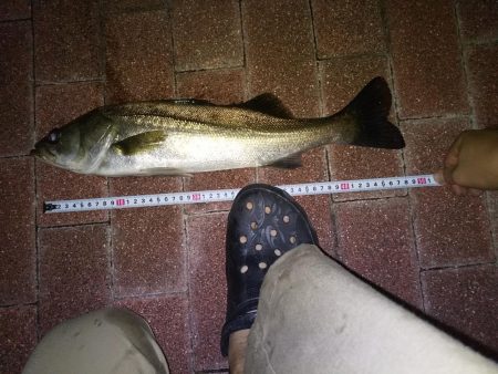 壁際でフッコサイズ