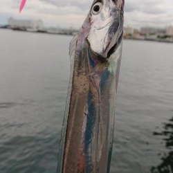 神戸サーべリングで苦戦〜牙狩り士