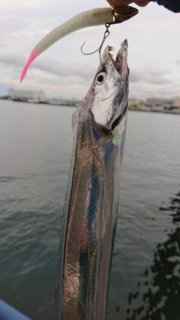 神戸サーべリングで苦戦〜牙狩り士