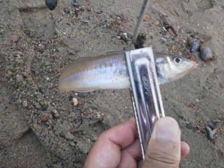 アタリはあるのに・・・