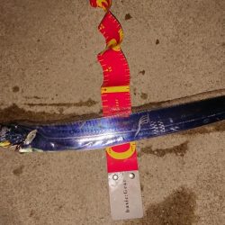 粘り勝ち‥アジ、タチウオ