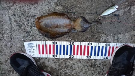 今週も頑張ってます。