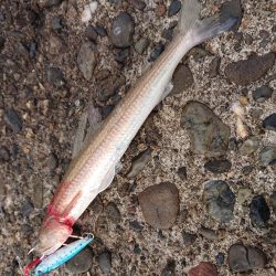 人が多く渋かった(>_<)