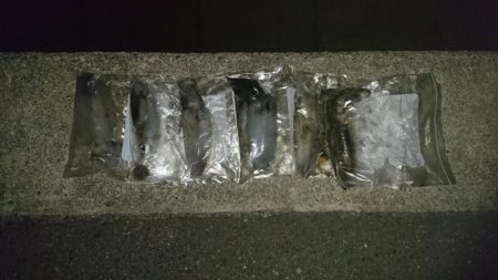 夕方から夜中にかけての短時間釣行