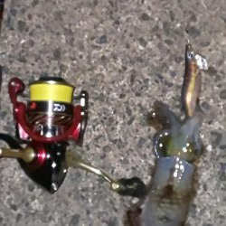 ロングテンションフォール