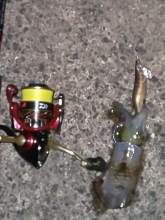 ロングテンションフォール