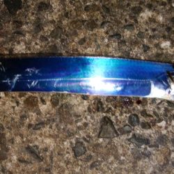 夕まずめタチウオ釣行