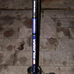 台風後のタチウオ