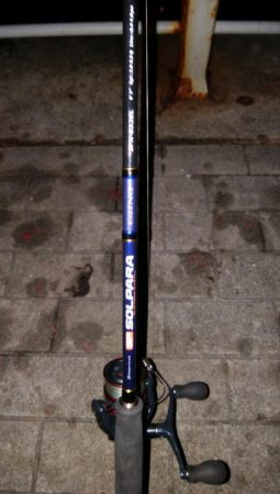 台風後のタチウオ