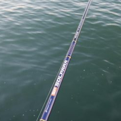 ついにドラゴン