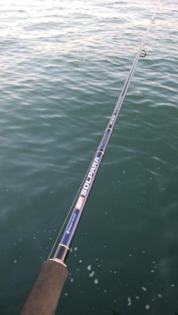 ついにドラゴン