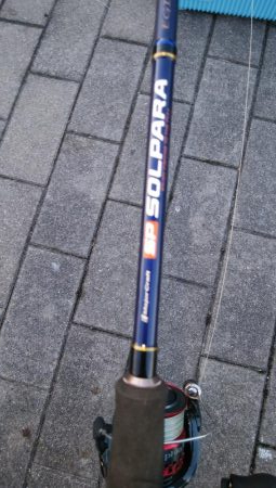 渋い中なんとかタチウオ