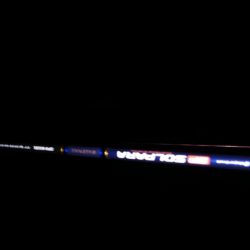 湾奥タチウオ調査