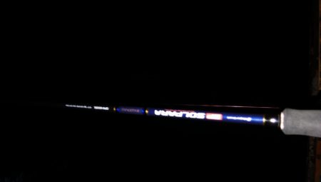 湾奥タチウオ調査