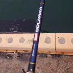 やっぱり渋いな