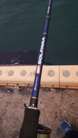 やっぱり渋いな