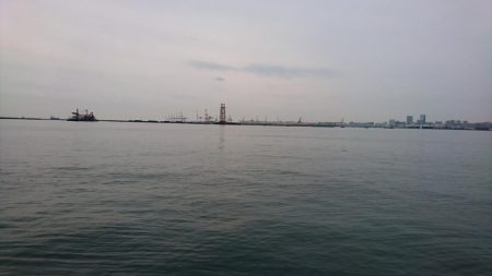 ３０分以上のナブラ発生！