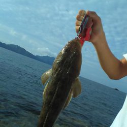 ライトショアジギ